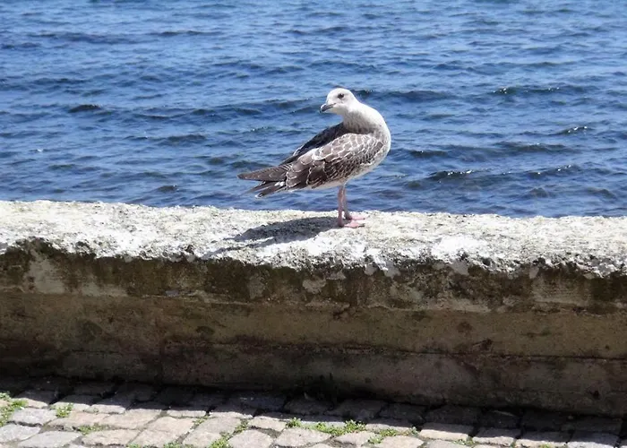 Seafront Im Apartment *